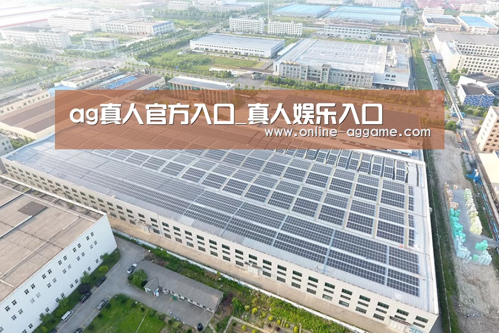 案例展示二
