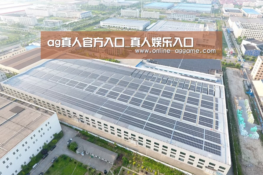 案例展示一