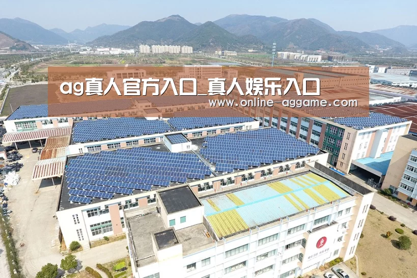 案例展示二