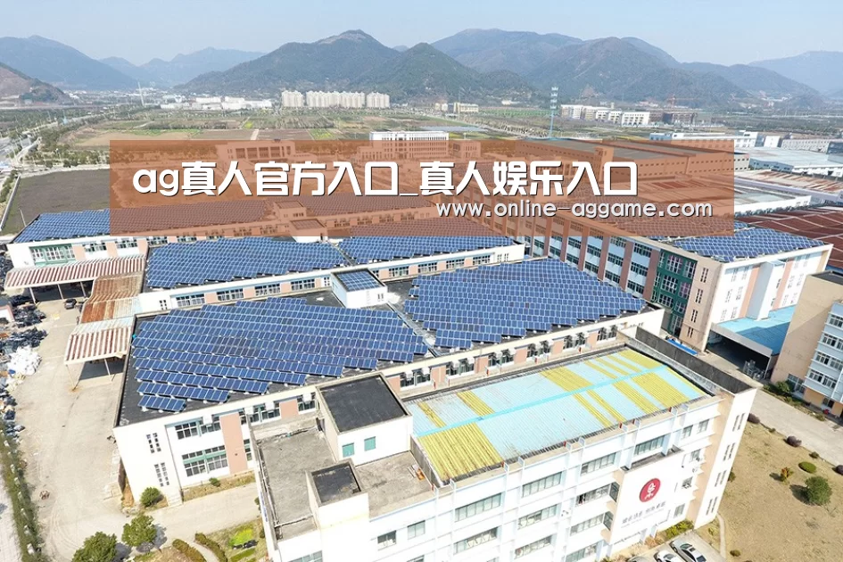 案例展示一