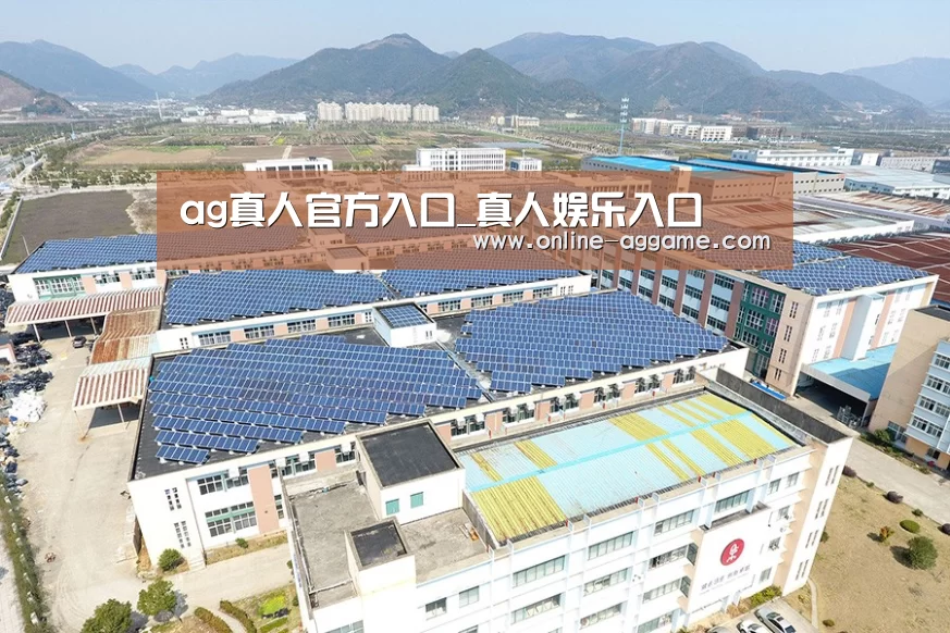 案例展示四
