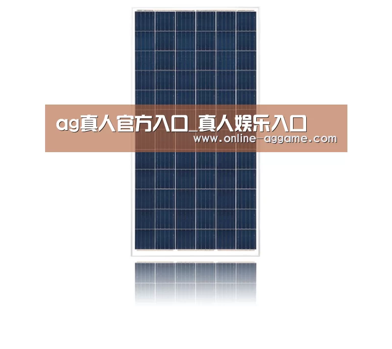 产品名称一