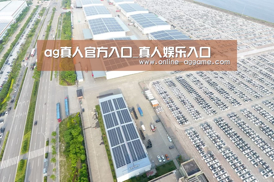 案例展示一