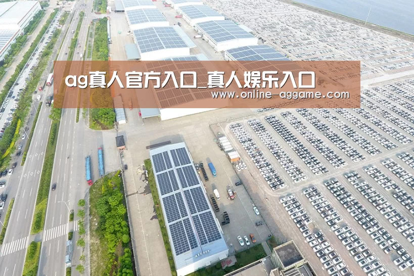 案例展示三