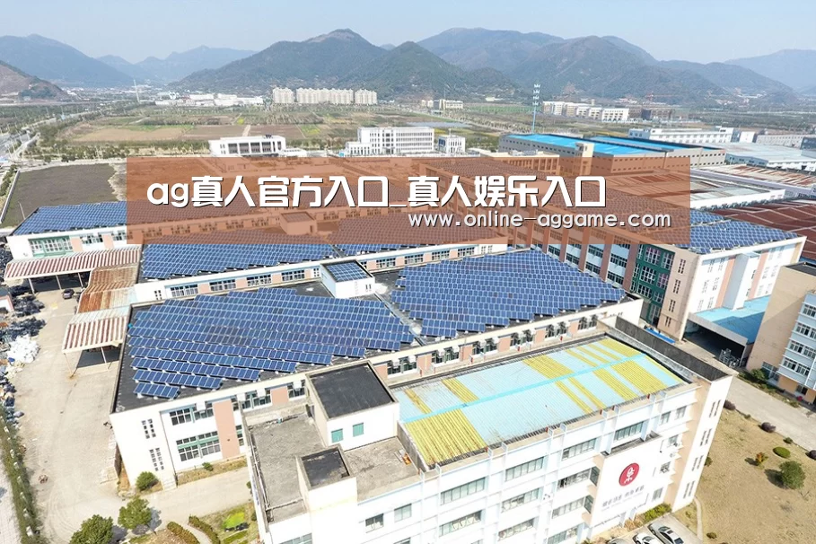 案例展示三