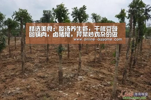 精选美食:酸汤养生虾,干椒豆豉回锅肉,卤猪尾,芹菜炒鸡杂的做法“Gaming”(图1) ag直营平台