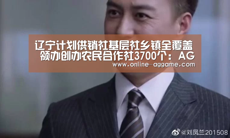 辽宁计划供销社基层社乡镇全覆盖 领办创办农民合作社3700个：AG官方网站(图2)