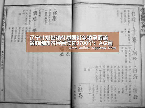 辽宁计划供销社基层社乡镇全覆盖 领办创办农民合作社3700个：AG官方网站(图3)