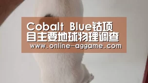 Cobalt Blue钴项目主要地球物理调查取得良好成果:Asia(图1) ag直营平台