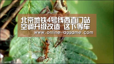 北京地铁4号线西直门站空调升级改造 这下等车不热了|AG官方网站(图1)